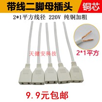 Monitor plus coarse two feet with wire female plug 220V2 hole male butt AC power waterproof copper mother two feet socket