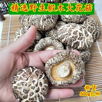 A catty of flower mushrooms dry goods Cut Foot Linen Wood Flowers Mushrooms Winter Mushrooms Mushrooms Meat Thick Mushrooms 500g Farmhouse Native