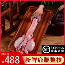 Deer pruning deer farm fresh deer male sent wine bottle liao zhuang lu xian lu bian entire fleet of lu bian pian