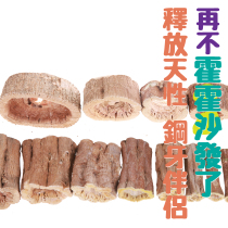 Grinding Tooth Mound Drying Papaya Stump Pier Rabbit Dragon Cat Grinders