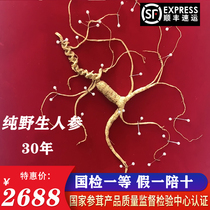 National inspection first-class wild ginseng gift box 30 years of wild ginseng Changbai Mountain Northeast Forest Ginseng 80 Board