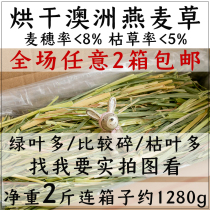Drying Australian oat grass 1000g net weight 2kg rabbit guinea pig ChinChin full age edible grass coarse fiber grass