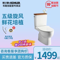 Kohler Ruiqi toilet five-stage cyclone strong impulse household pumping split silent flower arrangement toilet 18643