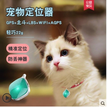Cat dog collar small locator Beidou GPS Pet Anti-lost location query tracker getai