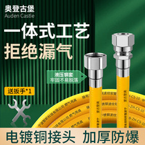Natural gas connecting pipe gas hose fuel gas pipe stainless steel bellows gas stove special explosion protection metal household