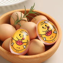 Japan Boiled Egg Theorizer A Person Kitchen Cooked Egg Timer Spa Egg Timer Egg Timer Egg Reminder