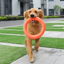 Pet dog frisbee pull ring Bite-resistant toy Purple ring gold burrs Large dog toy flying saucer training
