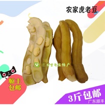 Vegetable fresh tiger old Bean Dog Claw Bean Bean Bean skin fresh food Hu old bean Tiger Bean Tiger Bean Hakka specialty