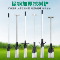 Universal thickened small shovel Household digging portable all manganese steel lightweight tree digging shovel Outdoor flat shovel