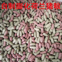 Self-made puffed guinea pig grain feed Dutch pig grain guinea pig grain containing vc anti-coccidiosis 500g