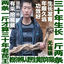 Chinas hometown of astragalus 30 years of growth wild astragalus 500 grams of premium sulfur-free tablets can be moxibustion cooked and ground north