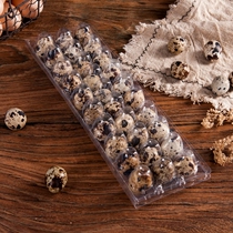 Source manufacturer directly supplied quail egg Todo model transparent plastic quail egg box PET plastic tray hot sell