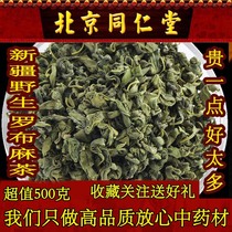 Beijing Tongrentang apocynum tea Xinjiang Super bulk 500g wild first stubble apocynum tender leaf tea
