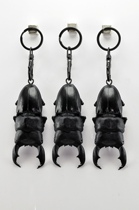 Nirvana model Sumatran beetle key to ship link after Spring Festival