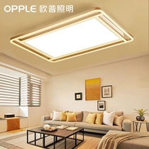 OP Junlang ceiling lamp Junlang creative personality lamps LED lamps Living room bedroom lighting