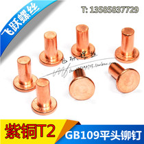 GB109 copper countersunk head rivets M2 * 2-2*16 M2 5-3-2 5*16 Jin price
