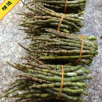 Fresh products Zhejiang local Dendrobium candidum fresh short strips fresh maple strips smooth pole glue more