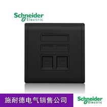 Schneider switch socket Fengshang series freehand black two double Computer Network Information Panel