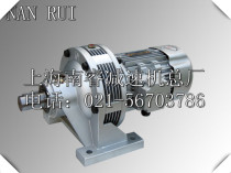 WB65 WB85 WB100 WB120 WB150 Micro cycloid reducer Single stage reducer