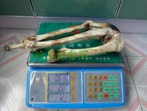 Jilin sika deer bone sika deer dry deer leg bone deer bone deer bone powder