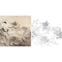 Gongbi painting white sketch background reed duck bucket square 66*66 physical white paper print draft with color map 390T