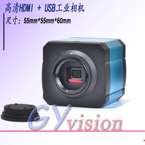 HDMI industrial camera HDMI USB industrial camera with TF card to take pictures and video HD HDMI microscope