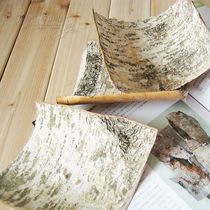 Natural birch bark handicraft decoration air-dry craft shooting props elm bark pipe DIY material