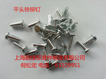 GB109 flat head Iron rivet flat head natural color M10 * 16 20 25-40 series kg Price recommended