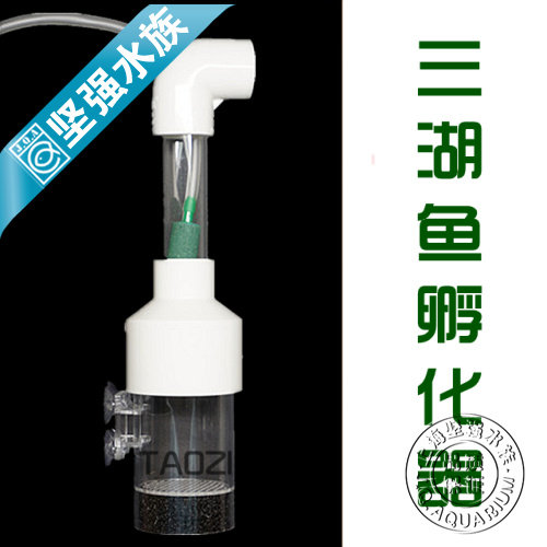 Three lakes cicily benthic beard ornamental fish mouth hatching fish incubator diameter 50mm (blue)