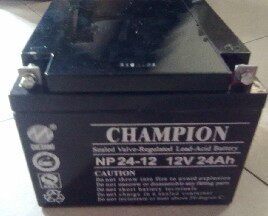 Original champion battery NP24-12 12V24AH EPS UPS room battery in stock