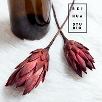 South Africa imported Lotus Princess Dried Flower Nordic Japanese Retro Sweet Shop Coffee Restaurant Home Soft Decoration