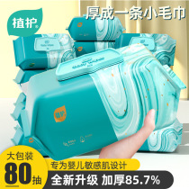 Plant baby wipes 80 pumps*5 packs handkmouth wet tissue household extract wipes large packaging